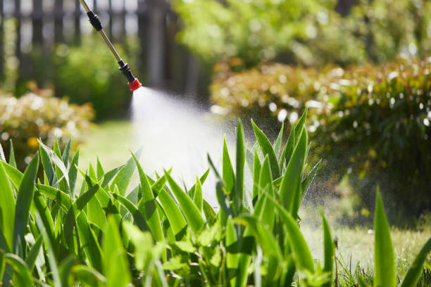 24/7 Emergency Wasp Removal experts in Oak Ridge, FL