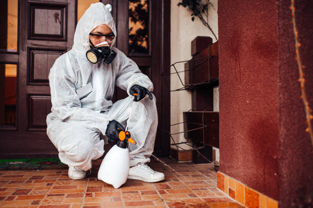 Reliable Wasp Removal contractor in Oak Ridge, FL by Show Me Pest Control