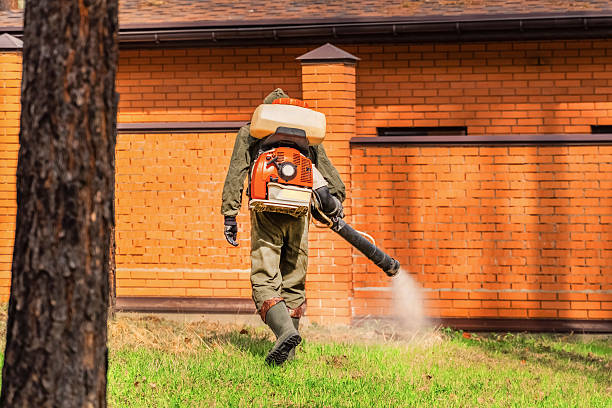 Top rated local Wasp Removal specialists in Oak Ridge, FL